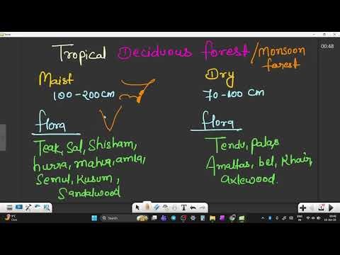 Tropical Deciduous Forests |Indian Geography