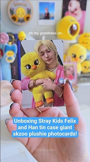 Unboxing #Straykıds #Felix and #Han Giant #Skzoo plushie photocards! #skz #leefelix #hanjisung #stay
