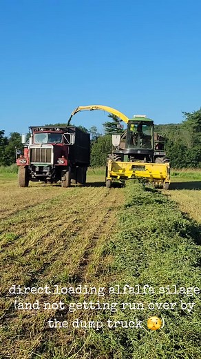 Getting silage in before the next storm hits. It's always a race to beat the rain!
