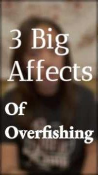The 3 Big Effects of Overfishing!