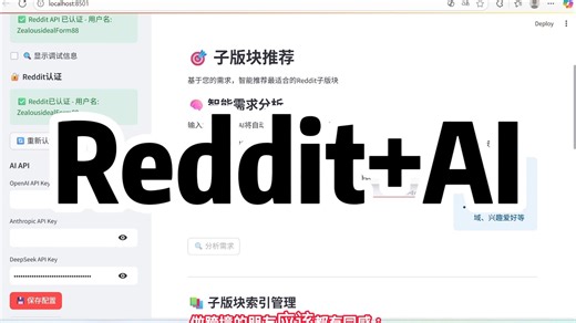 用AI分析reddit上的数据，以用户的角度做跨境电商产品调研