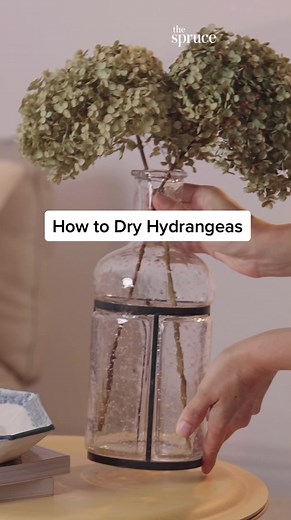 Easy Steps to Dry Hydrangeas Perfectly | The Spruce Guide