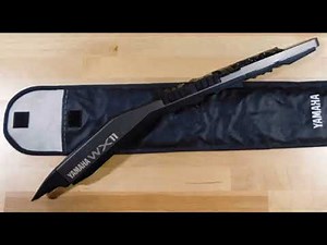 Roland JD 990 with Vintage Synth Expansion Board and Yamaha WX11 wind controller