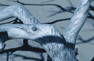 How to Finish Driftwood