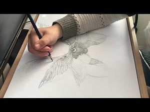 Timelapse | drawing a seraphim! | Doodles