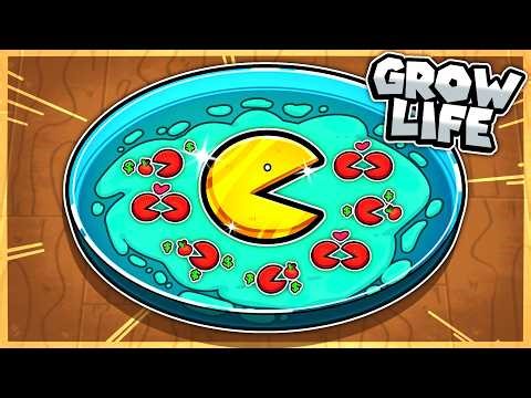 I got rich creating life