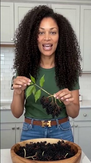 Warning — Never Eat Raw Elderberries Until You Watch This