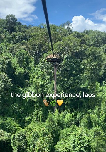 The Gibbon Experience in Laos: Treehouse Ziplining Adventure
