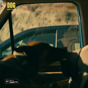 32K views · 531 reactions | Unleash the friendship. Rent #DogMovie NOW on Apple TV! | Dog The Movie | Facebook