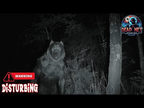 7 Real German Dogman Sightings: Berlin to the Black Forest