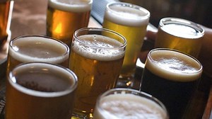 What Are Hops Used for In Beer Brewing?