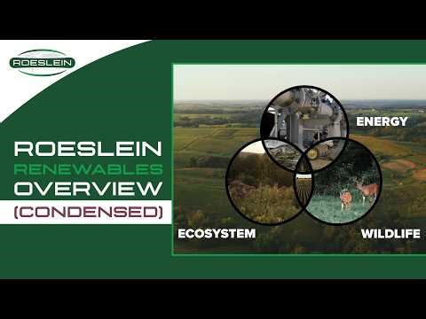 Roeslein Renewables Overview (Condensed)