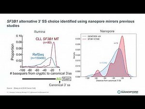 Full-length transcript characterisation of SF3B1 mutation in chronic lymphocytic leukemia