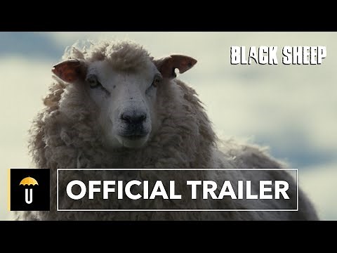 Black Sheep | Official Trailer [4K]