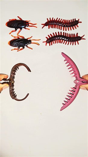 तिलचट्टा vs कनखजूरा #cockroach vs #centipede #countryballs #shortsfeed