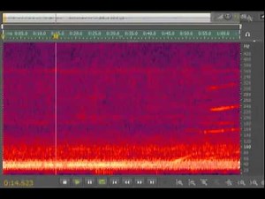 Windsor Hum - Recorded August 24, 2011 @11:12pm EST