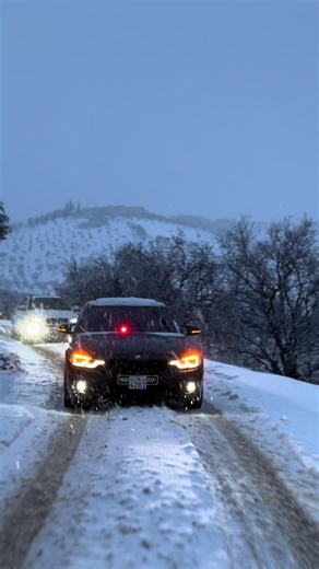 BWM 320i: Unveiling the Power of F30 Style