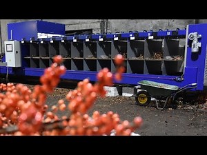 Ilex Sorteermachine - Jamafa Machinery B.V.