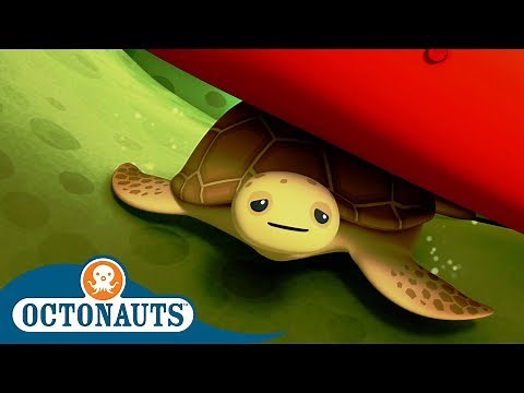 Octonauts - Saving a Loggerhead Sea Turtle | Cartoons for Kids | Underwater Sea Education