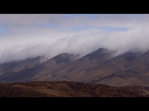 Harvesting Fresh Water from Fog