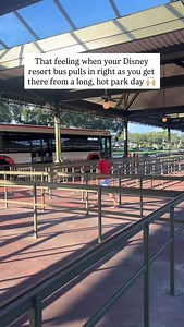 Seriously the best feeling stepping into that cold bus with no waiting 😂 | Magical Places Family