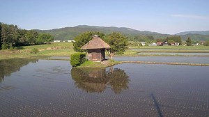 【期間限定】荒神神社ライブカメラ(岩手県遠野市青笹町中沢)