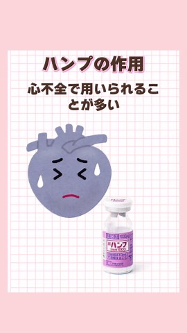 ハンプ（hANP）で心不全を徹底管理しよう！