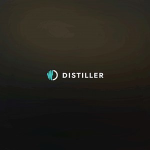 Distortion Filter Plugin From Diginoiz - Distiller