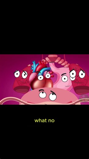 Your Organs During Pregnancy #medicine #funny #animation #cartoon