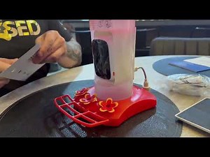 SV3C Hummingbird Feeder with Camera – Unboxing, App Setup & Hanging Guide