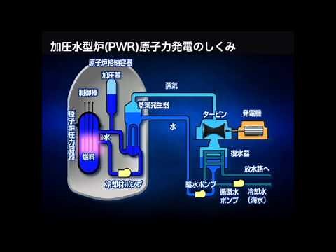 加圧水型炉（PWR）原子力発電のしくみ