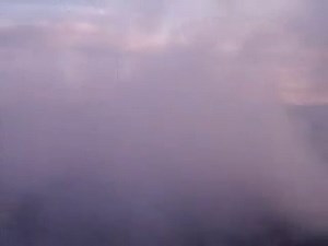 '91 Firebird burnout