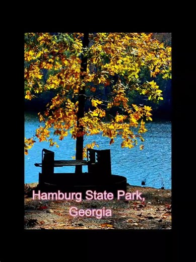 Georgia Camping: Stunning Waterfront Site at Hamburg State Park #camping