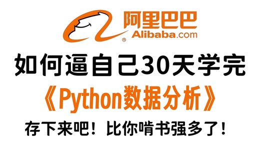 【2026最新版】(Numpy Pandas Matplotlib)Python数据分析，数据可视化教程，零基础入门到精通！