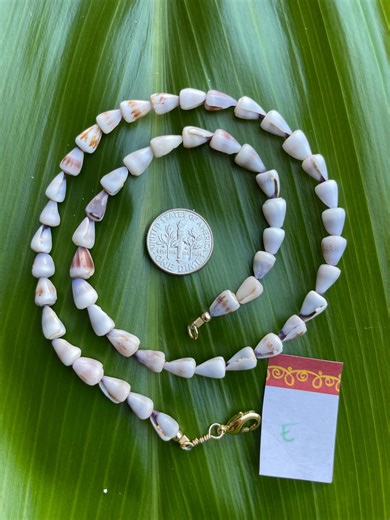 Hawaiian Baby Cone Shell Necklace - Etsy