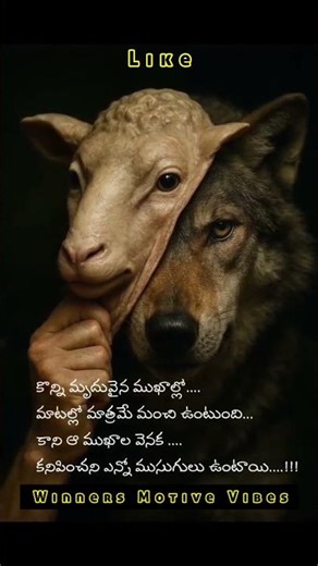 ఇది మనం గమనించాల్సిందే,లేదంటే ప్రమాదమే. #winnersmotivevibes #trending #shorts #subscribe #viral #yt