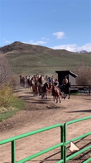 C Lazy U Ranch on TikTok