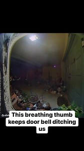 what is it?? 🌵🦎 #DesertLizards #WildlifeWednesday #NatureVideo #DesertLife #LizardLove #ReptileKingdom #ExploreNature #DiscoverWildlife #NatureDocumentary #LizardBehavior #DesertExploration #AnimalKingdom #WildlifePhotography #NatureIsAmazing #LoveTheWild | Jessica Lynn Bailey