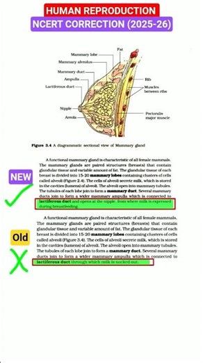 ncert correction neet human reproduction questions practice reproductive health reproductive system