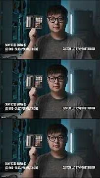 FX30 BRAW vs S1II BRAW