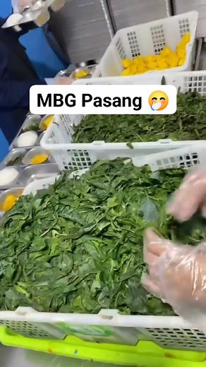 Rendang vs Daun Singkong . . #program #mbg | Khaerul Pelangi