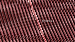 trigger point explained with animation