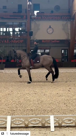 We welcome Danish dressage rider Anna Kasprzak ( @futuredressage ) to the D&M family 🇩🇰😃🔥🎶 She is an Olympic dressage rider, she represented Denmark at World Equestrian Games, Europeans and World Cups 😍👏🏼🐴 … and now we proudly produce the new GP Freestyle for her and Addict de Massa🎼🎸🎤 Thank you so much for your trust! We are sure the result will be… 🫠🤤🙌🏼 🎶 #DressageAndMusicRider #AnnaKasprzak #DressageAndMusic #DenmarkDressage #Dressage #DressageMusic #Equestrian #GrandPrixFree