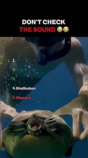 Ranking Turtles With ZERO Chill 😂