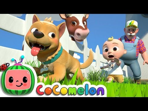 Kid's Learning Fun – Sing and Clap Along with Bingo | Wonder Play World