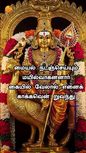 Murugan Kanda Sasti Kavasam | முருகன் கந்தசஷ்டி திருவிழா சிறப்பு பாடல்கள் | PAAL MARUGA #murugan
