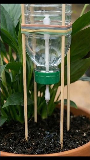 Never Kill Your Plants Again! DIY Self-Watering Hack 🪴#GardeningHacks #DIY #PlantCare #lifehacks