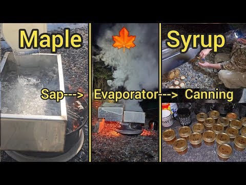 Full Video, Maple Syrup Production, Evaporator, With Spark Arrester