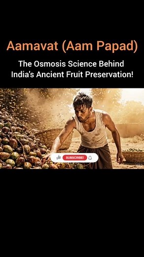 Accidentally Turned Rotten Mangoes Into an Energy Bar | AncientFood Science Explained#Aampapad#viral