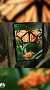 Stunning Concept Camera in CES 2025 #CES2025 #ConceptCameras #FuturisticTech #NextGenCameras #CameraInnovation #TechTrends #CESHighlights #viralreelschallenge #PhotographyGadgets #FutureOfCameras #CESReveals #TechShowcase #CameraTechnology #TrendingTech2025 #shortsvideos #reelschallenge #short | AmeWhere